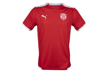 Camiseta Entrenamiento Jugador 23/24