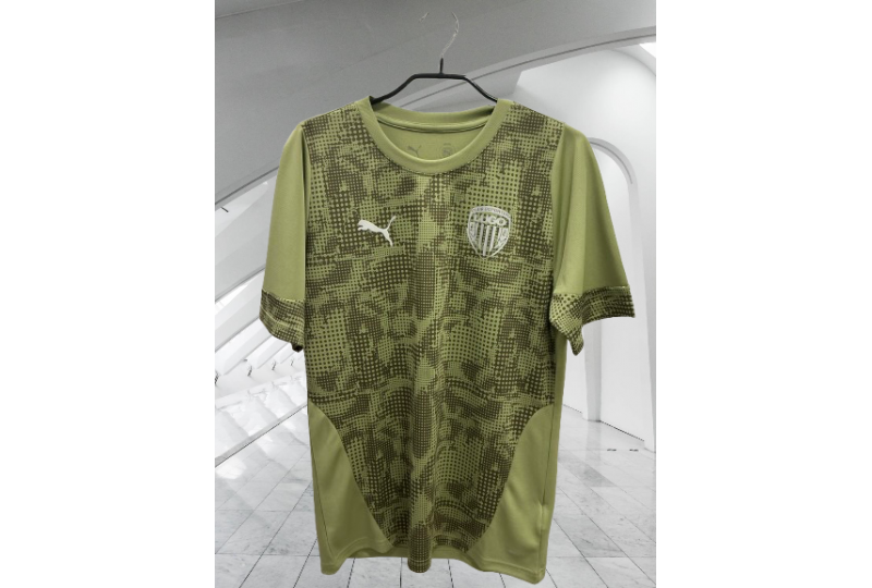 Camiseta Entrenamiento 26